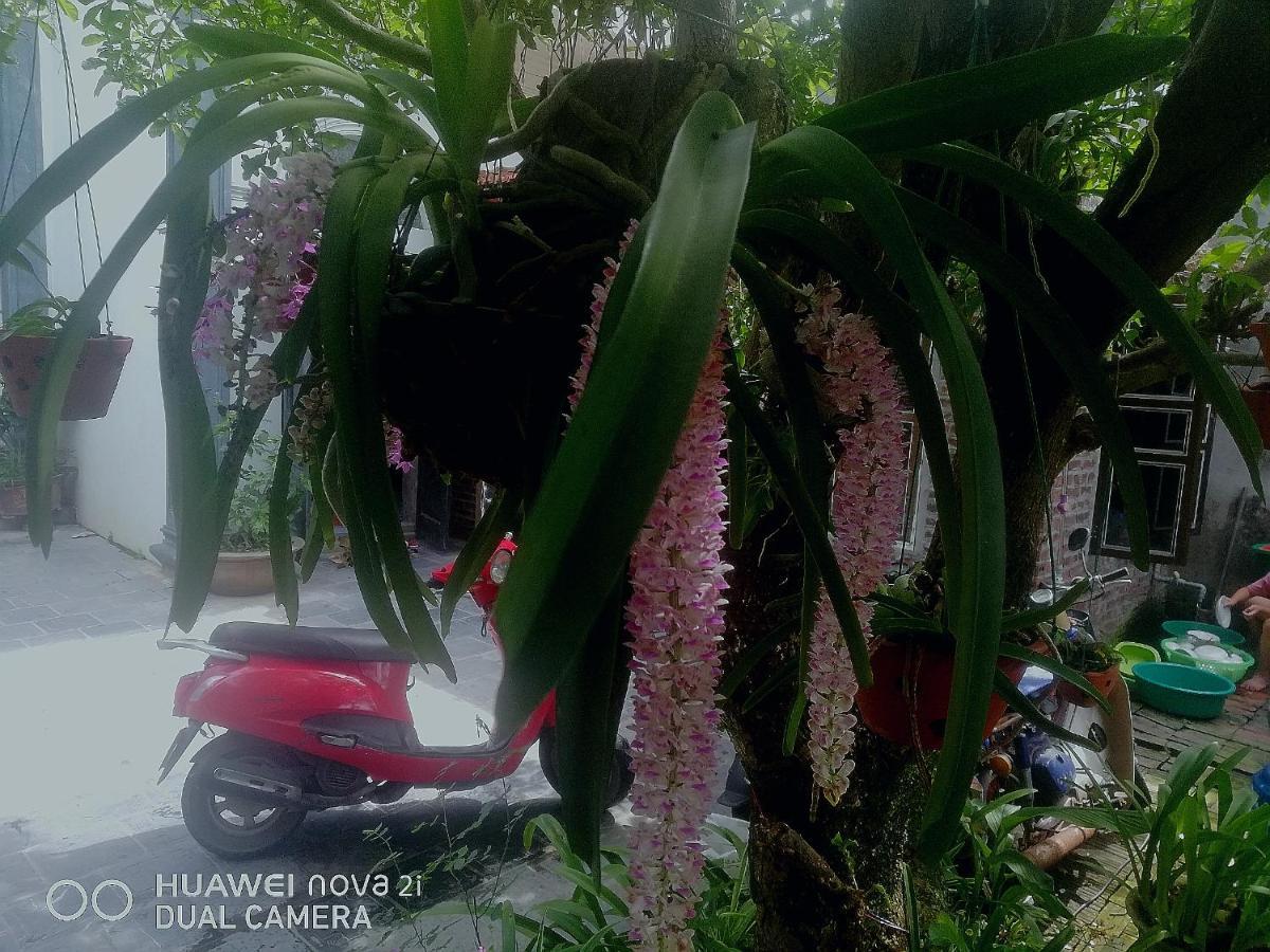 Tamcoc Mr. Cau Homestay Ninh Binh Exterior photo